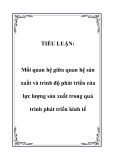 TIỂU LUẬN:  Mối quan hệ giữa quan hệ sản xuất và trình độ phát triển của lực lượng sản xuất trong quá trình phát triển kinh tế