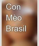 Con Mèo Brasil