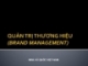 Bài giảng Quản trị thương hiệu (Brand management) - MBA Vũ Quốc Việt Nam