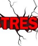 Một sự stress