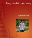 Bông Hoa Bên Hẻm Vắng