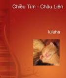 Chiều Tím