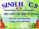 Tiết 25: đột biến số lượng nhiễm sắc thể (tiếp)