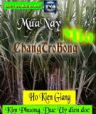 Mùa này mía chẳng trổ bông