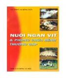 Nuôi ngan vịt và phòng chữa bệnh thường gặp