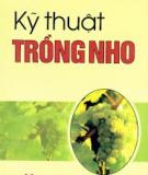 Các kỹ thuật trồng nho 