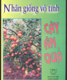 Phương pháp Nhân giống vô tính cây ăn quả