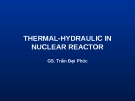 THERMAL-HYDRAULIC IN NUCLEAR REACTOR
