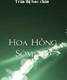 Hoa Hồng Sớm Nở