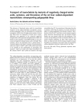 Báo cáo khoa học:  Transport of taurocholate by mutants of negatively charged amino acids, cysteines, and threonines of the rat liver sodium-dependent taurocholate cotransporting polypeptide Ntcp