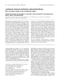 Báo cáo khoa học: Leishmania donovani methionine adenosyltransferase Role of cysteine residues in the recombinant enzyme