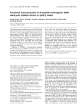 Báo cáo khoa học:  Functional characterization of Drosophila melanogaster PERK eukaryotic initiation factor 2a (eIF2a) kinase