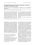 Báo cáo khoa học: PKCd-dependent cleavage and nuclear translocation of annexin A1 by phorbol 12-myristate 13-acetate