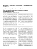 Báo cáo khoa học: Mechanisms of accumulation of arachidonate in phosphatidylinositol in yellowtail A comparative study of acylation systems of phospholipids in rat and the ﬁsh species Seriola quinqueradiata