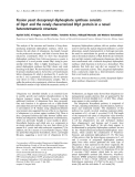 Báo cáo khoa học:  Fission yeast decaprenyl diphosphate synthase consists of Dps1 and the newly characterized Dlp1 protein in a novel heterotetrameric structure