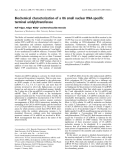 Báo cáo khoa học: Biochemical characterization of a U6 small nuclear RNA-speciﬁc terminal uridylyltransferase