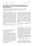 Báo cáo khoa học:  Bioenergetics of the formyl-methanofuran dehydrogenase and heterodisulﬁde reductase reactions in Methanothermobacter thermautotrophicus