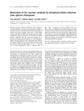 Báo cáo khoa học: Mechanism of the reaction catalyzed by dehydroascorbate reductase from spinach chloroplasts