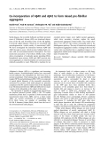 Báo cáo khoa học:  Co-incorporation of Ab40 and Ab42 to form mixed pre-ﬁbrillar aggregates