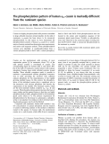 Báo cáo khoa học: The phosphorylation pattern of human as1-casein is markedly different from the ruminant species