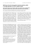 Báo cáo khoa học: UMP kinase from the Gram-positive bacterium Bacillus subtilis is strongly dependent on GTP for optimal activity