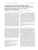 Báo cáo khoa học:  Unusual ﬂuorescence of W168 in Plasmodium falciparum triosephosphate isomerase, probed by single-tryptophan mutants