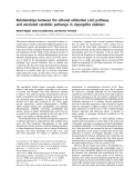 Báo cáo khoa học: Relationships between the ethanol utilization (alc ) pathway and unrelated catabolic pathways in Aspergillus nidulans