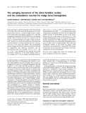 Báo cáo khoa học: The swinging movement of the distal histidine residue and the autoxidation reaction for midge larval hemoglobins
