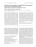 Báo cáo khoa học:  Expression and characterization of cyanobacterium heme oxygenase, a key enzyme in the phycobilin synthesis Properties of the heme complex of recombinant active enzyme