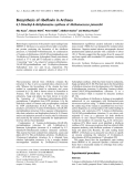 Báo cáo khoa học:  Biosynthesis of riboﬂavin in Archaea 6,7-Dimethyl-8-ribityllumazine synthase of Methanococcus jannaschii