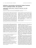 Báo cáo khoa học:  Puriﬁcation, characterization and molecular cloning of tyrosinase from the cephalopod mollusk, Illex argentinus