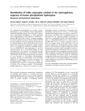 Báo cáo khoa học:  Deamidation of labile asparagine residues in the autoregulatory sequence of human phenylalanine hydroxylase