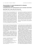 Báo cáo khoa học:  Characterization of acetyl-CoA/propionyl-CoA carboxylase in Metallosphaera sedula Carboxylating enzyme in the 3-hydroxypropionate cycle for autotrophic carbon ﬁxation