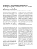 Báo cáo khoa học:  Deadenylation of interferon-b mRNA is mediated by both the AU-rich element in the 3¢-untranslated region and an instability sequence in the coding region