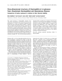 Báo cáo khoa học: Three-dimensional structures of thermophilic b-1,4-xylanases from Chaetomium thermophilum and Nonomuraea ﬂexuosa Comparison of twelve xylanases in relation to their thermal stability