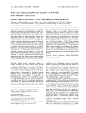 Báo cáo khoa học:  Molecular characterization of artemin and ferritin from Artemia franciscana