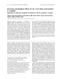 Báo cáo khoa học:  Structural and biological effects of a b2- or b3-amino acid insertion in a peptide Application to molecular recognition of substance P by the neurokinin-1 receptor