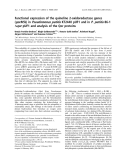 Báo cáo khoa học:  Functional expression of the quinoline 2-oxidoreductase genes (qorMSL) in Pseudomonas putida KT2440 pUF1 and in P. putida 86-1 Dqor pUF1 and analysis of the Qor proteins