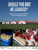  A guide for preparing, loading , and transporting poultry 