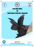 PICTURE BOOK OF INFECTIOUS POULTRY DISEASES