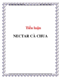  Tiểu luận :NECTAR CÀ CHUA