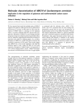 Báo cáo Y học: Molecular characterization of MRG19 of Saccharomyces cerevisiae Implication in the regulation of galactose and nonfermentable carbon source utilization