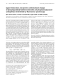 Báo cáo Y học: Ligand interactions and protein conformational changes of phosphopyridoxyl-labeled Escherichia coli phosphoenol pyruvate carboxykinase determined by ﬂuorescence spectroscopy