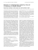 Báo cáo Y học: Mechanism of 1,4-dehydrogenation catalyzed by a fatty acid (1,4)-desaturase of Calendula ofﬁcinalis