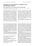 Báo cáo Y học: Identiﬁcation and characterization of a mammalian 14-kDa phosphohistidine phosphatase