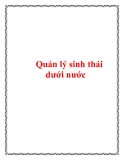 Quản lý sinh thái dưới nước