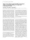 Báo cáo khoa học:  Absence of the psbH gene product destabilizes photosystem II complex and bicarbonate binding on its acceptor side in Synechocystis PCC 6803