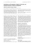 Báo cáo khoa học: Identiﬁcation and localization of glycine in the inner core lipopolysaccharide of Neisseria meningitidis