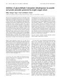 Báo cáo khoa học:  Inhibition of glyceraldehyde-3-phosphate dehydrogenase by peptide and protein peroxides generated by singlet oxygen attack