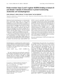 Báo cáo khoa học: Redox-sensitive loops D and E regulate NADP(H) binding in domain III and domain I–domain III interactions in proton-translocating Escherichia coli transhydrogenase